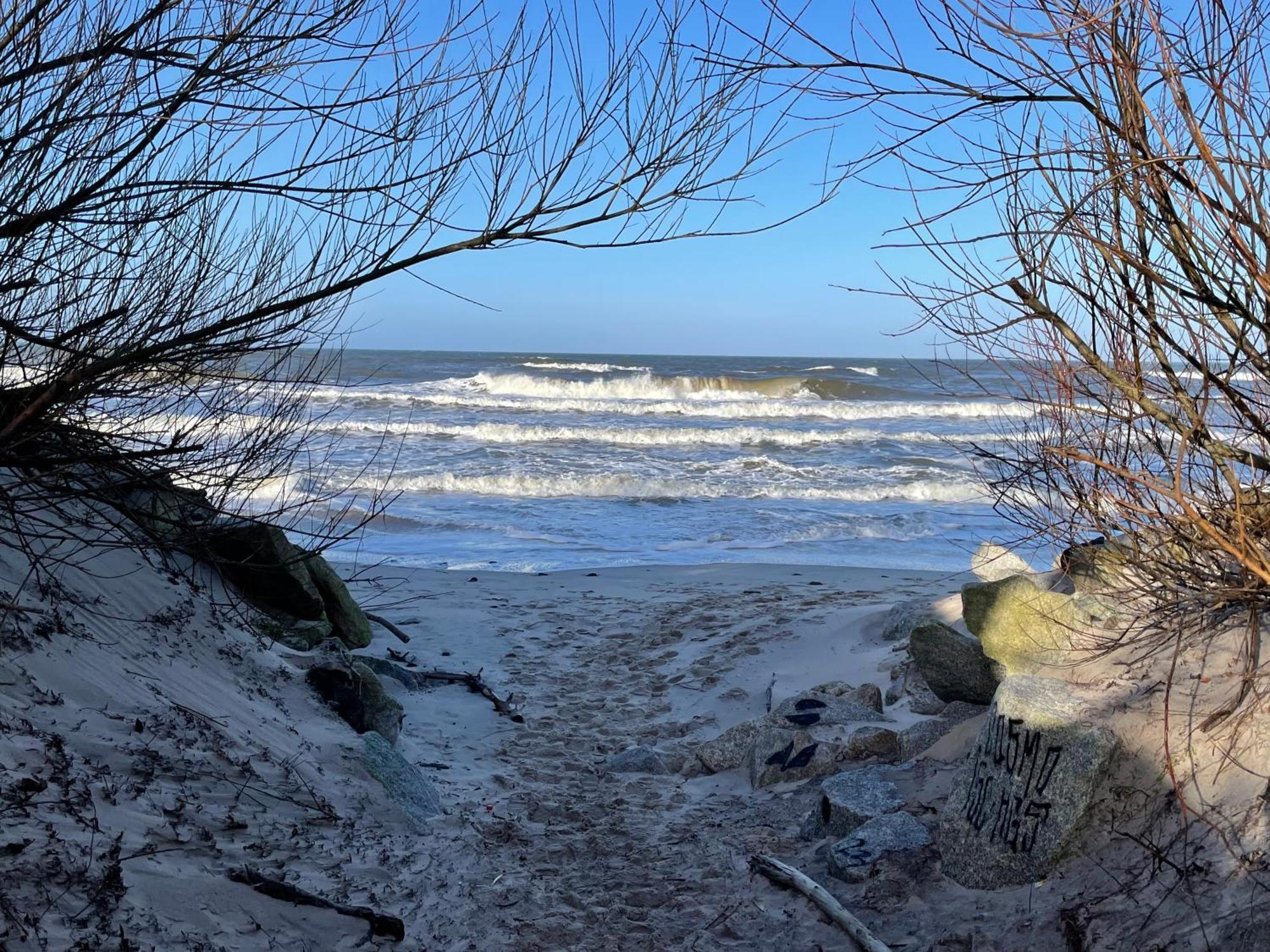 Apartamenty Pod Sosnami Sarbinowo Bagian luar foto